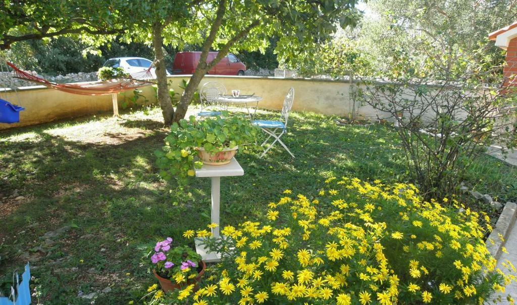 Apartmani Volga Petrcane Exterior photo