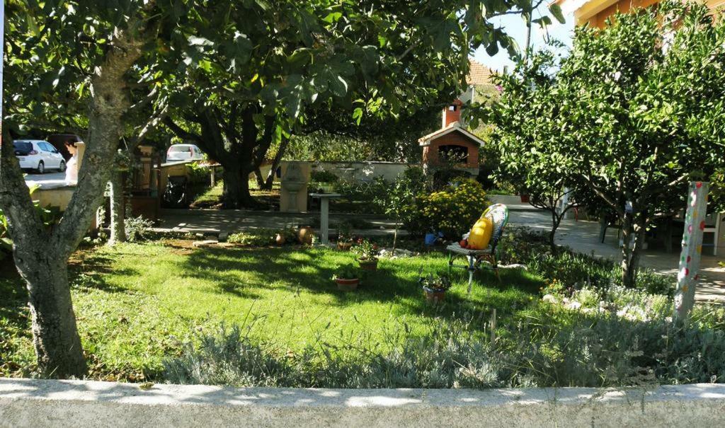 Apartmani Volga Petrcane Exterior photo